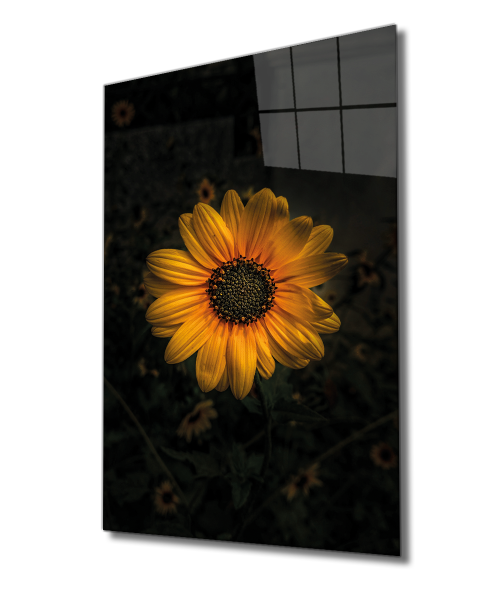 Sarı Ayçiçek Cam Tablo  4mm Dayanıklı Temperli Cam, Yellow Sunflower Glass Wall Art