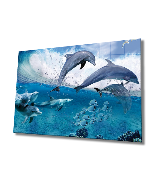 Yunus Balıkları Cam Tablo  4mm Dayanıklı Temperli Cam, Dolphins Glass Wall Art