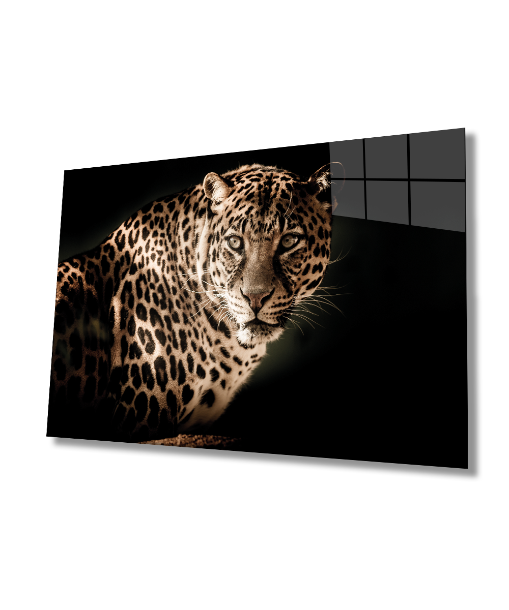 Leopar Hayvan 4mm Dayanıklı  Cam Tablo Temperli Cam, Leopard Glass Wall Decor