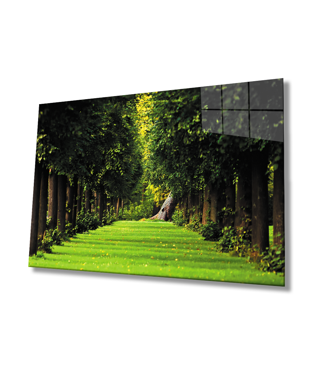 Manzara Orman  Ağaçlar Yeşil Cam Tablo  4mm Dayanıklı Temperli Cam Landscape Forest Trees Green Glass Wall Art