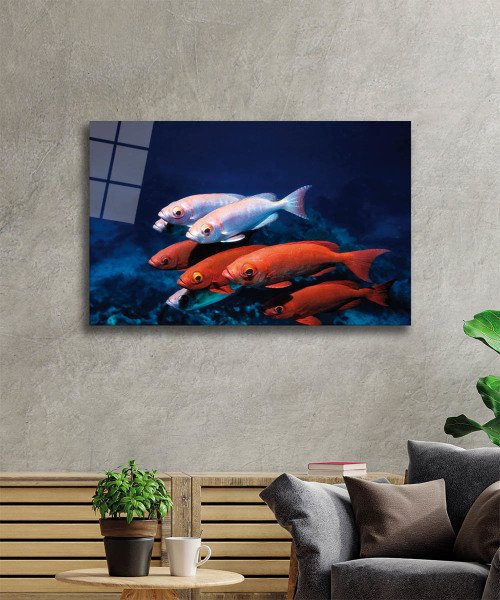 kırmızı Beyaz Balıklar Cam Tablo  4mm Dayanıklı Temperli Cam, Red White Fishes Glass Wall Art