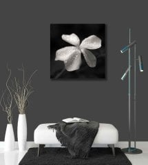 Su Damlalı Beyaz Çiçek Uv Baskılı Cam Tablo 4mm Dayanıklı Temperli Cam 50x50 Cm