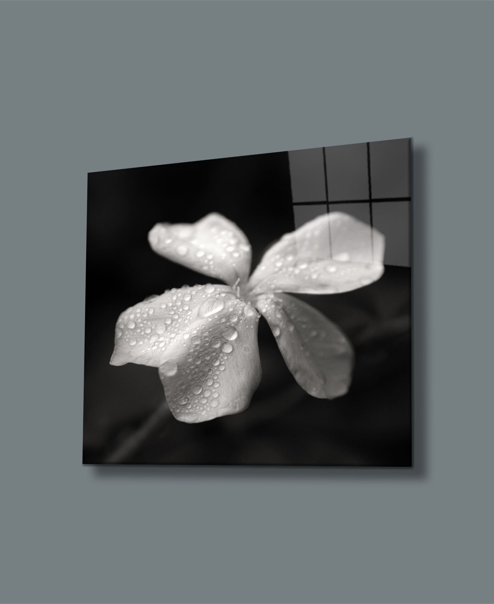 Su Damlalı Beyaz Çiçek Uv Baskılı Cam Tablo 4mm Dayanıklı Temperli Cam 50x50 Cm