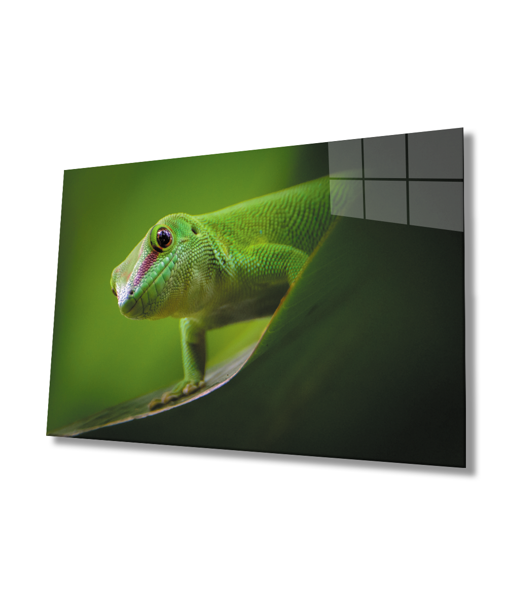 Hayvan Yeşil Cam Tablo  4mm Dayanıklı Temperli Cam Green Animal Glass Wall Art