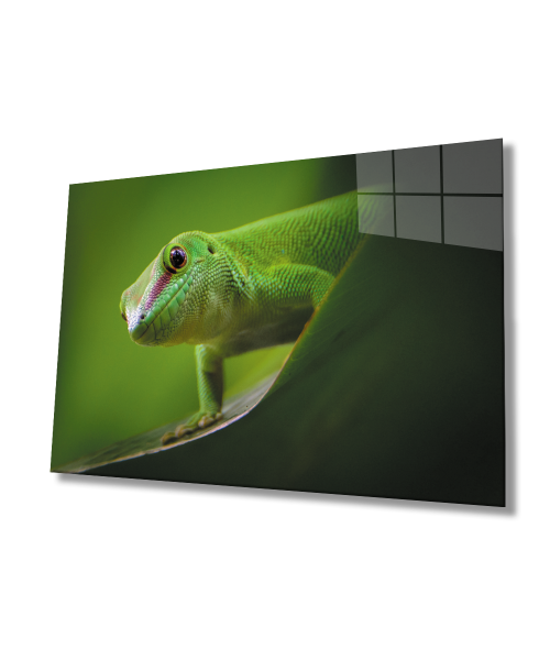 Hayvan Yeşil Cam Tablo  4mm Dayanıklı Temperli Cam Green Animal Glass Wall Art