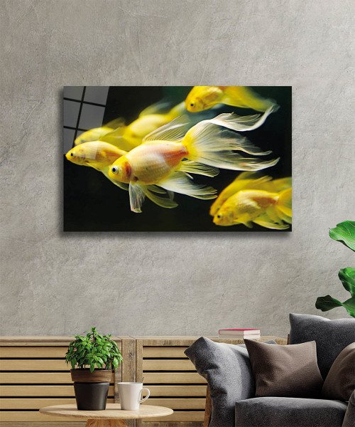 Sarı Balıklar Cam Tablo  4mm Dayanıklı Temperli Cam, Yellow Fishes Glass Wall Art