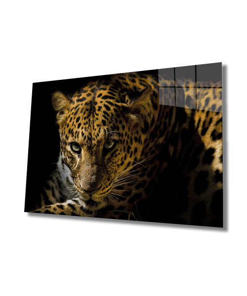 Leopar Hayvan 4mm Dayanıklı  Cam Tablo Temperli Cam, Leopard Glass Wall Decor
