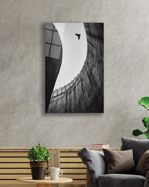 Siyah Beyaz Kartal Cam Tablo 4mm Dayanıklı Temperli Cam Black and White Eagle Glass Painting