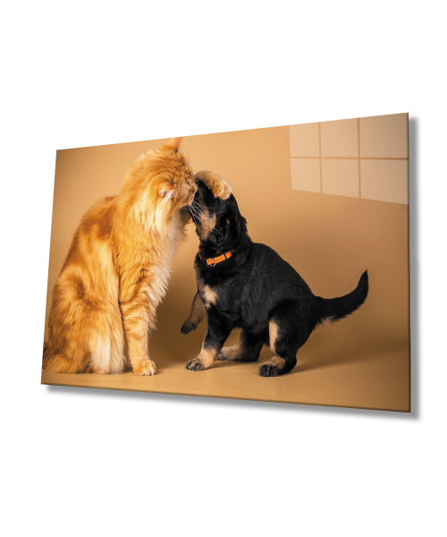 Kedi  Köpek Cam Tablo  4mm Dayanıklı Temperli Cam
