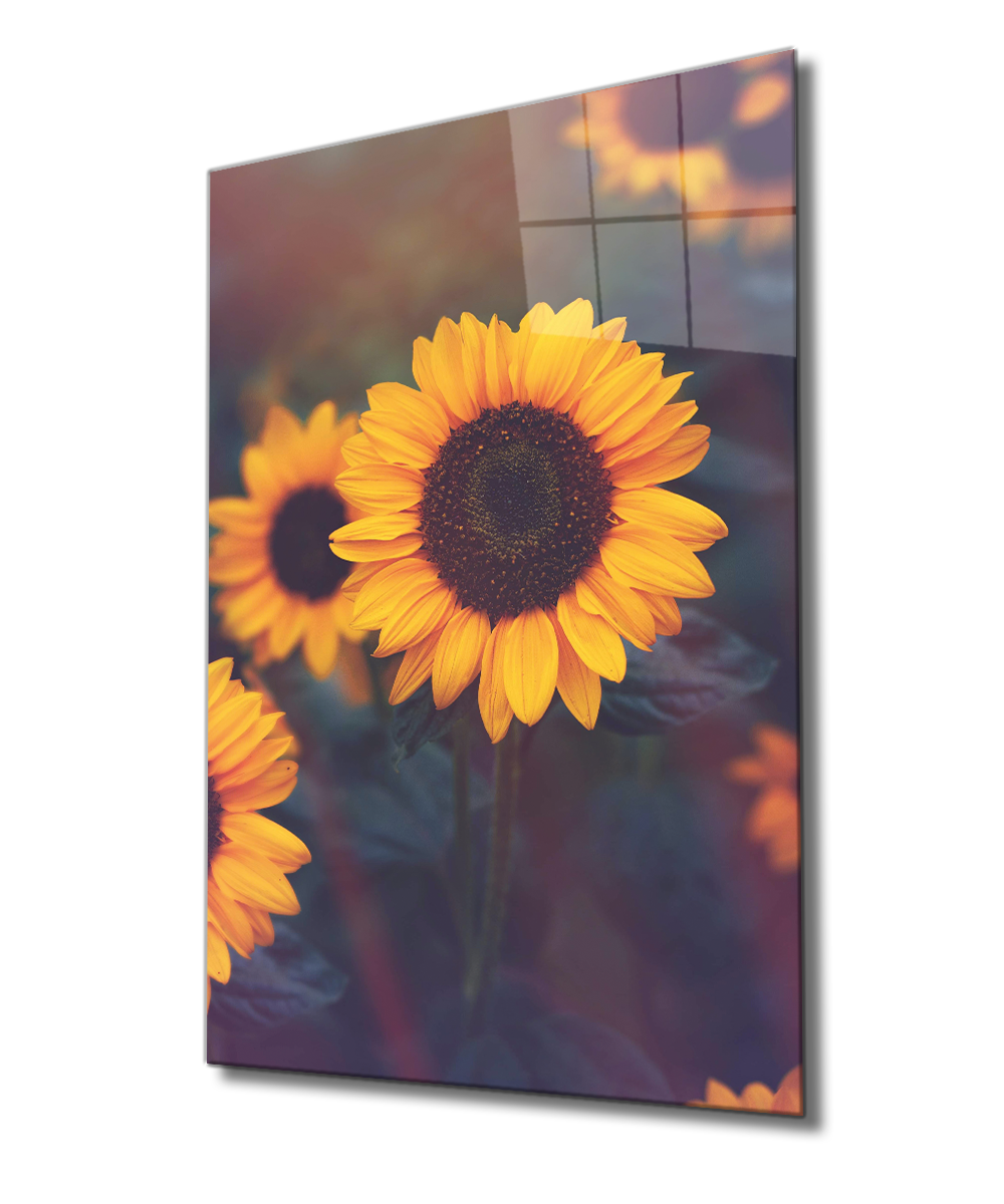 Ayçiçeği Cam Tablo  4mm Dayanıklı Temperli Cam, Sunflower Glass Wall Decor