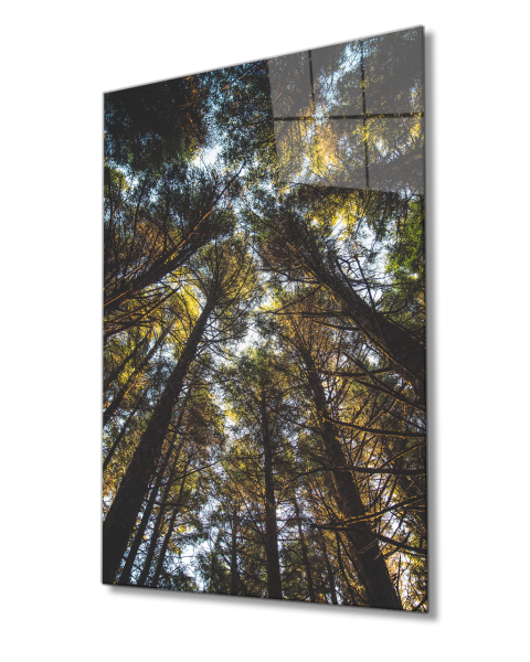 Ağaçlar Cam Tablo 4mm Dayanıklı Temperli Cam Trees Glass Painting