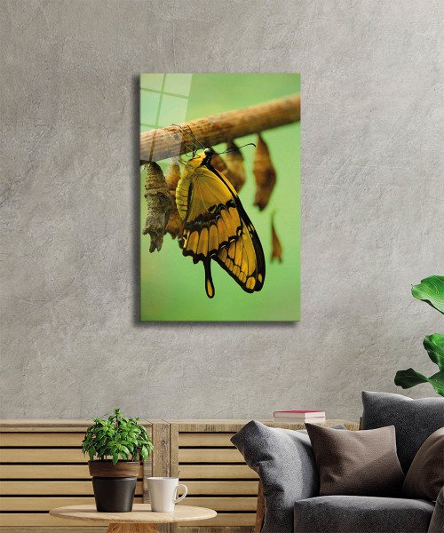 Sarı Kelebek Cam Tablo  4mm Dayanıklı Temperli Cam, Yellow Butterfly Glass Wall Decor