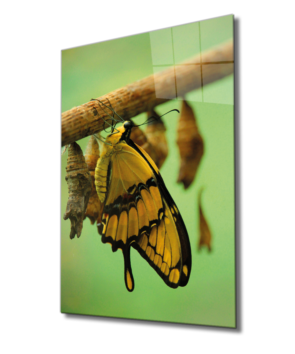 Sarı Kelebek Cam Tablo  4mm Dayanıklı Temperli Cam, Yellow Butterfly Glass Wall Decor