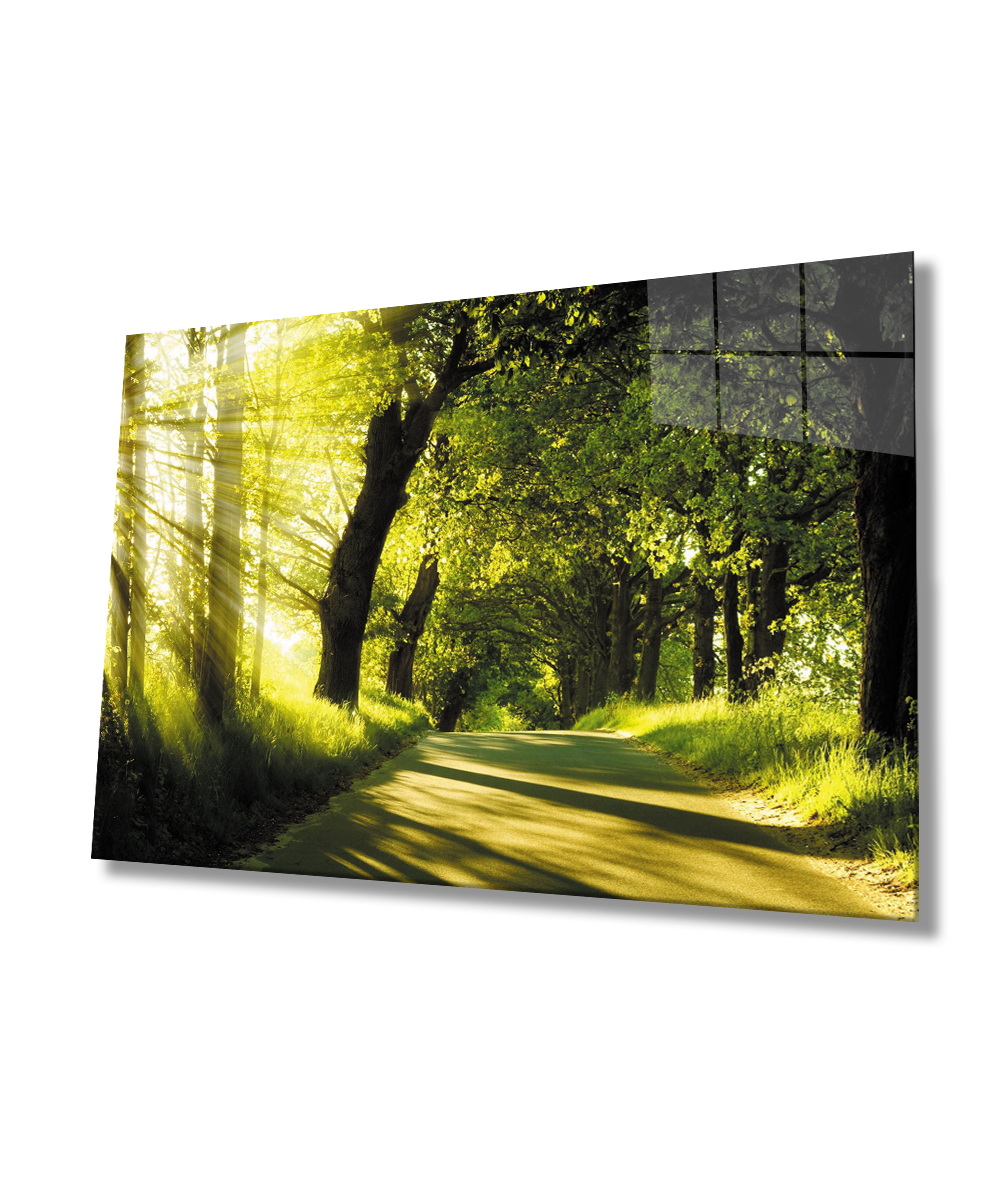 Gün Batımı Orman Manzara Yeşil Cam Tablo  4mm Dayanıklı Temperli Cam Sunset Forest Green Landscape Glass Wall Art