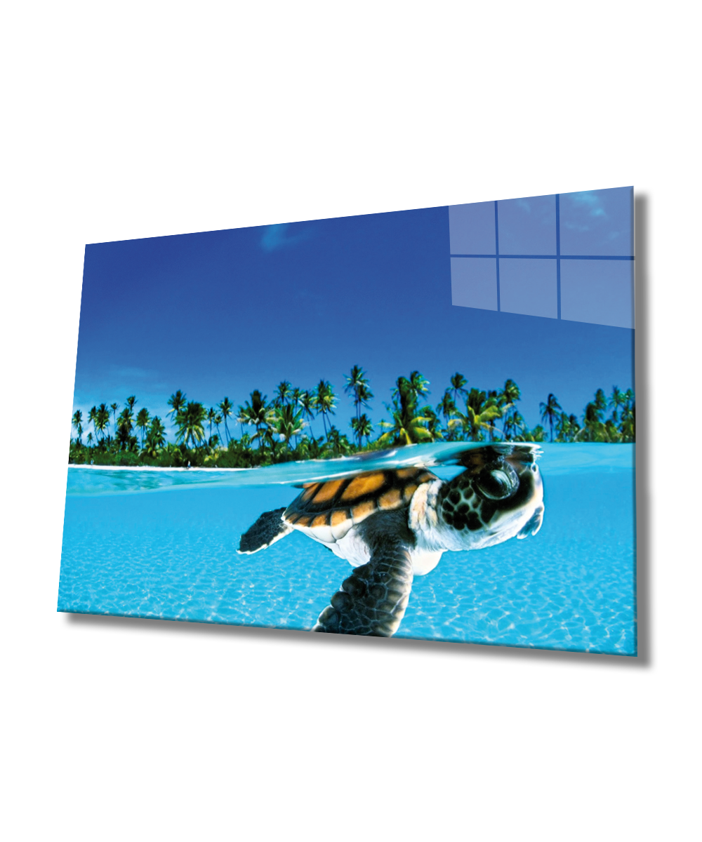 Deniz Kaplumbağası Cam Tablo  4mm Dayanıklı Temperli Cam, Sea Turtle Glass Wall Art