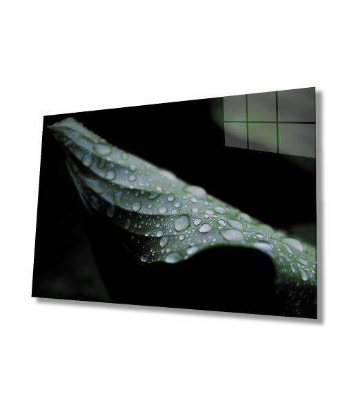 Su Damlası Yaprak Yeşil Cam Tablo  4mm Dayanıklı Temperli Cam Water Drop Green Leaf Glass Wall Art