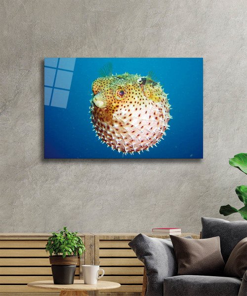 Fugu Balığı Cam Tablo  4mm Dayanıklı Temperli Cam, Fugu Glass Wall Art