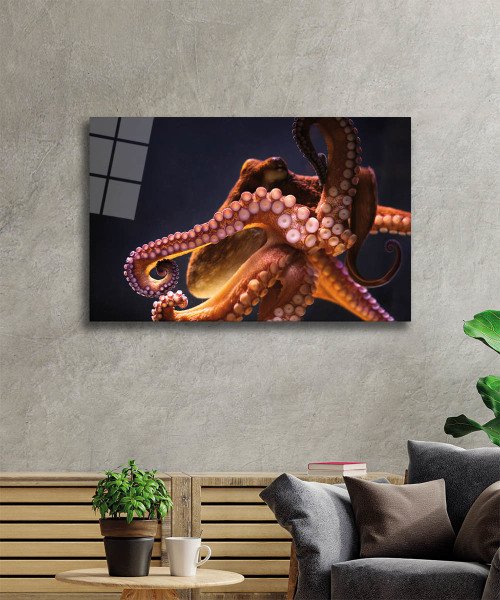 Ahtapot Sualtı Canlıları Cam Tablo  4mm Dayanıklı Temperli Cam, 	Octopus  Glass Wall art