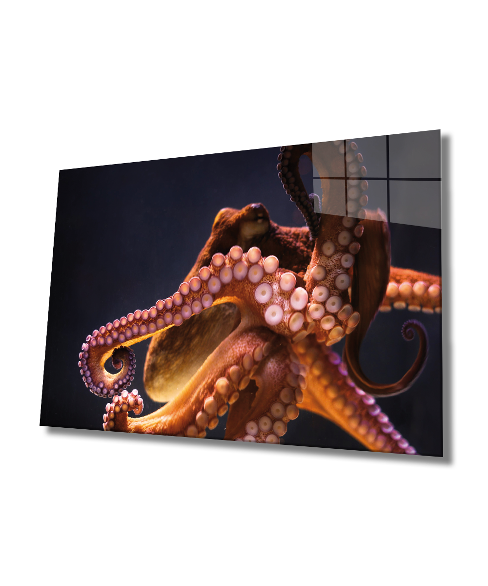Ahtapot Sualtı Canlıları Cam Tablo  4mm Dayanıklı Temperli Cam, 	Octopus  Glass Wall art