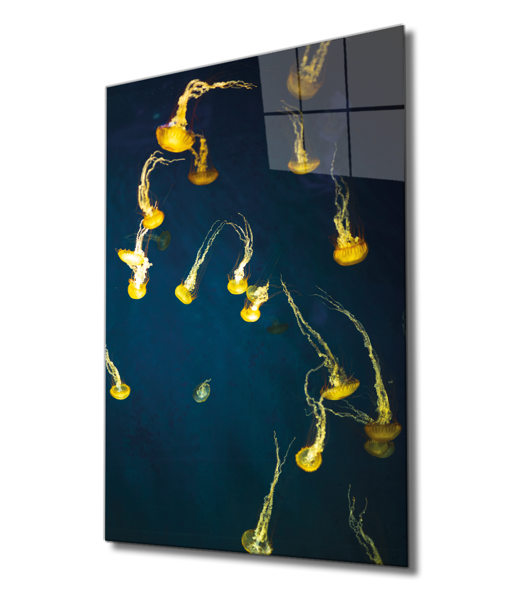 Sarı Denizanası Cam Tablo  4mm Dayanıklı Temperli Cam, Yellow Jellyfish Glass Wall Art