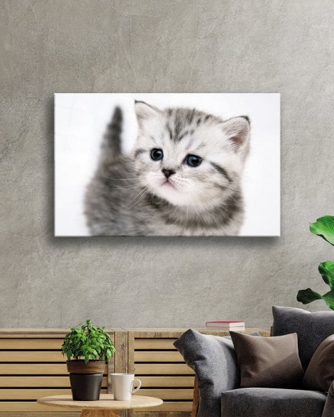 Kedi Cam Tablo  4mm Dayanıklı Temperli Cam Cat Glass Table 4mm Durable Tempered Glass