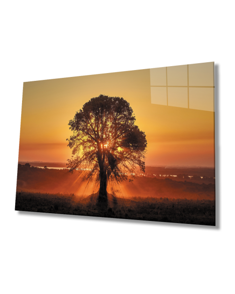 Gün Batımı Manzarasında Ağaç Cam Tablo  4mm Dayanıklı Temperli Cam Tree Glass Table With Sunset View 4mm Durable Tempered Glass