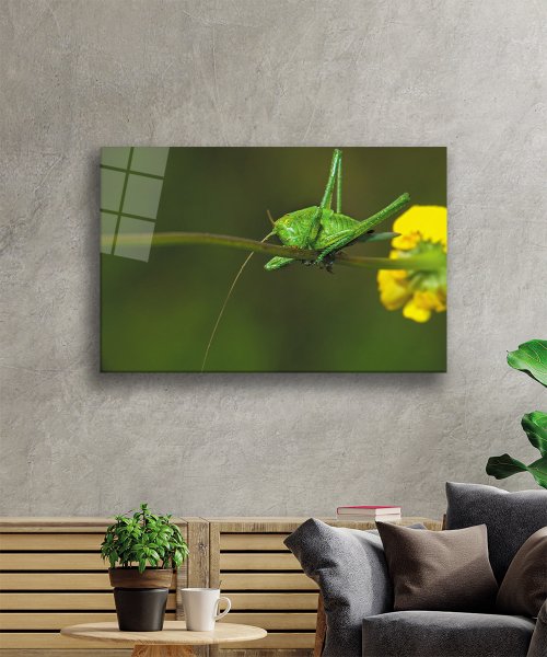 Sarı Çiçek Yeşil  Çekirge Cam Tablo  4mm Dayanıklı Temperli Cam Yellow Flower Green Grasshopper Glass Wall Art