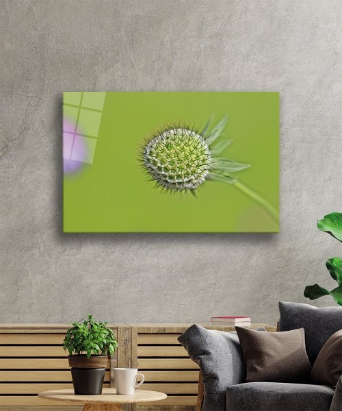 Yeşil Bitki Çiçek Cam Tablo  4mm Dayanıklı Temperli Cam Green Plant Flower Glass Wall Art