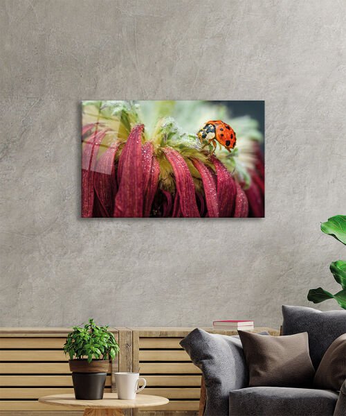 Uğur Böceği Yaprak Cam Tablo  4mm Dayanıklı Temperli Cam Ladybug Green Leaf Glass Wall Decor