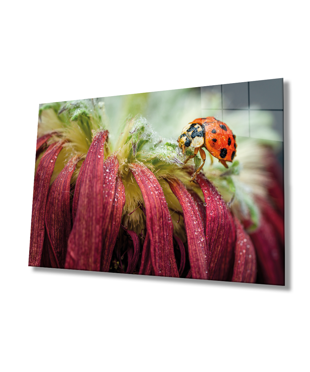 Uğur Böceği Yaprak Cam Tablo  4mm Dayanıklı Temperli Cam Ladybug Green Leaf Glass Wall Decor