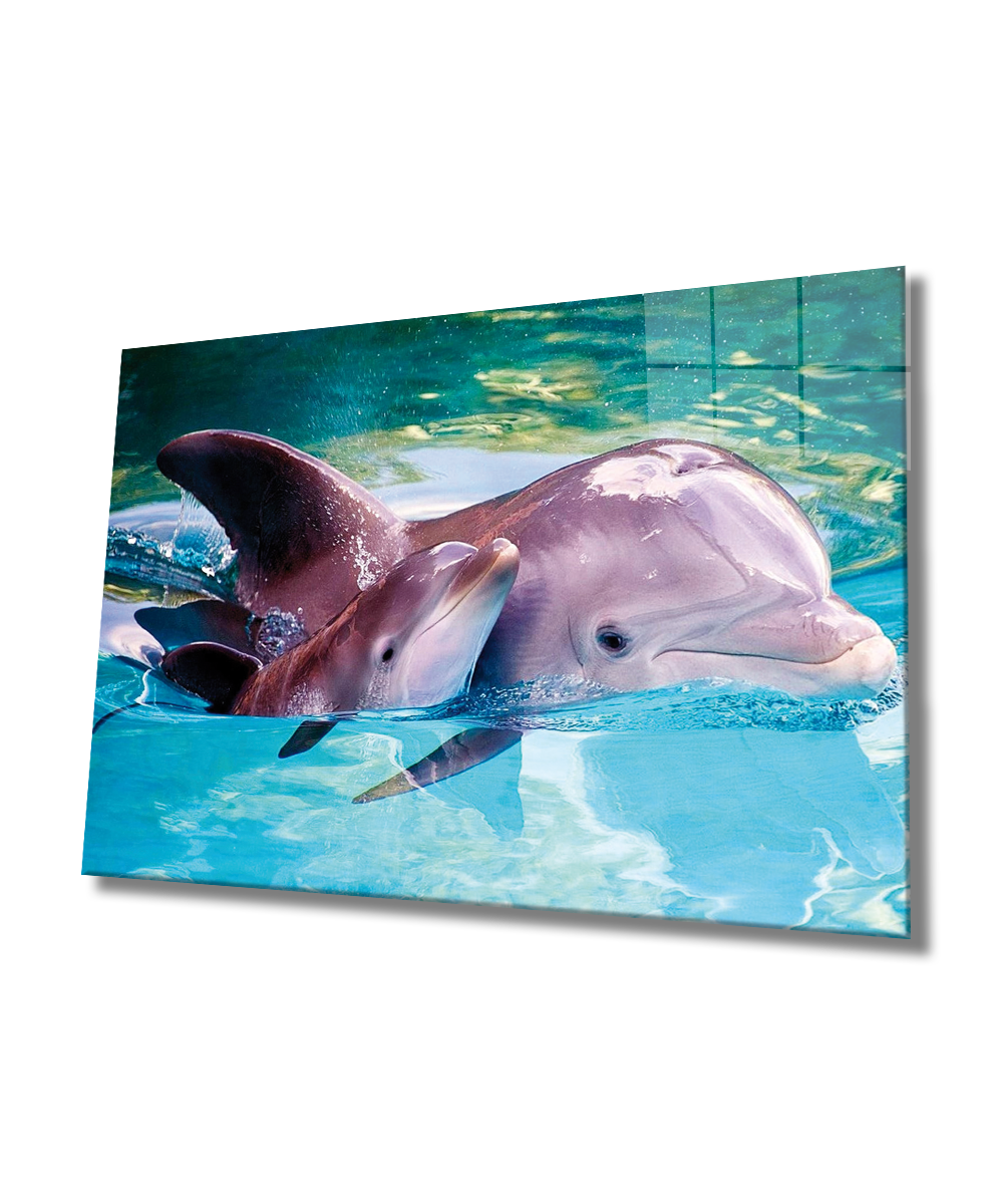 Yunus Balığı Cam Tablo  4mm Dayanıklı Temperli Cam, Dolphin Glass Wall Art