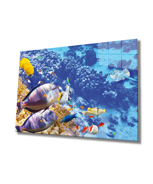 Renkli Balıklar  Cam Tablo  4mm Dayanıklı Temperli Cam, Colorful Fishes Wall Glass Art