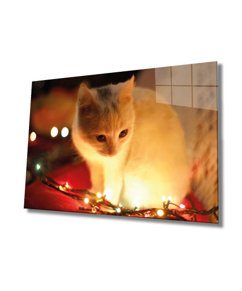 Beyaz Kedi ve Sarı Işık Cam Tablo  4mm Dayanıklı Temperli Cam, Yellow Cat and Lights Glass Wall Decor