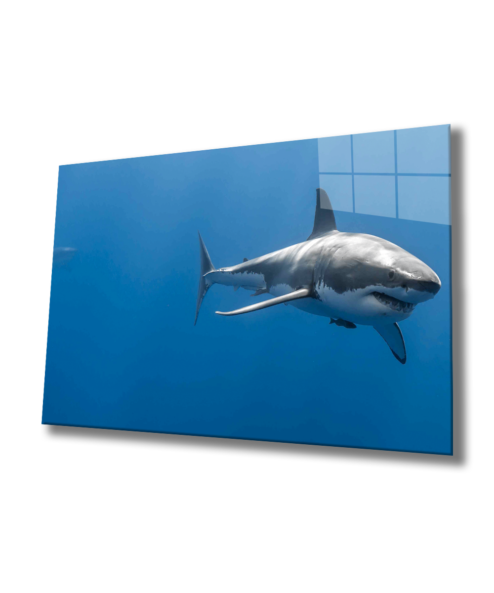 Köpek Balığı Cam Tablo  4mm Dayanıklı Temperli Cam, Shark Glass Wall Art