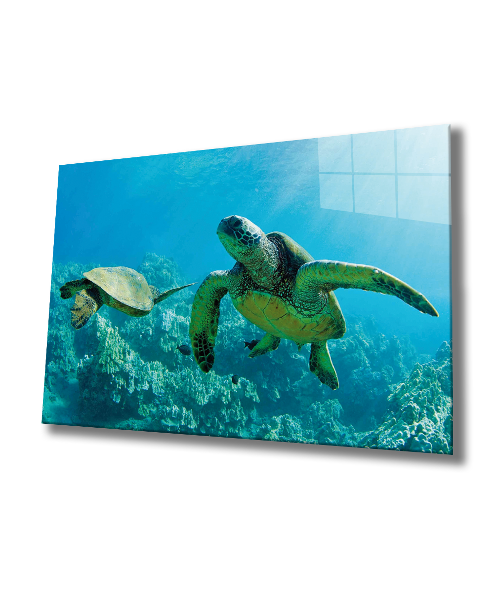 Deniz Kaplumbağası Cam Tablo  4mm Dayanıklı Temperli Cam, Sea Turtle Glass Wall Art