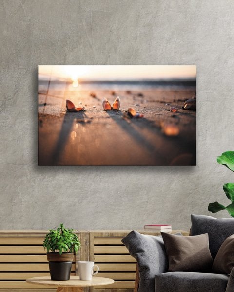 Sahilde Deniz Kabukları Gün Batımı Cam Tablo  4mm Dayanıklı Temperli Cam Seashells Sunset On The Beach Glass Painting 4mm Durable Tempered Glass