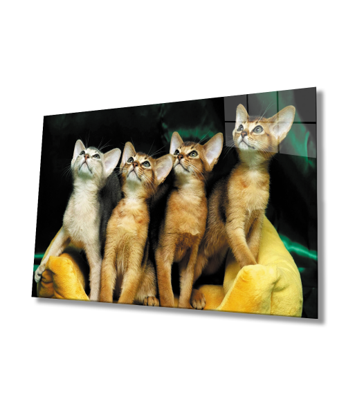 Kediler  Cam Tablo  4mm Dayanıklı Temperli Cam