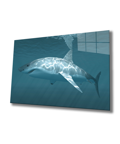 Köpek Balığı Cam Tablo  4mm Dayanıklı Temperli Cam, Shark Glass Wall Art