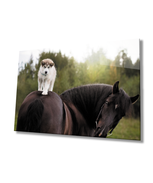 At ve Köpek  Cam Tablo  4mm Dayanıklı Temperli Cam
