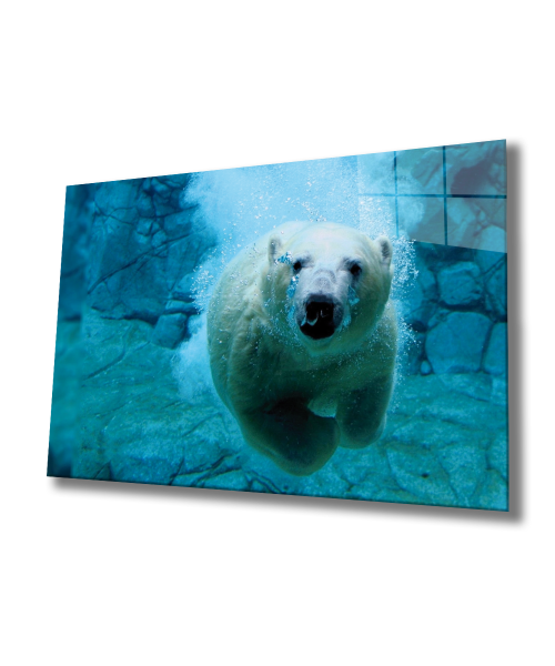 Beyaz Kutup Ayısı Cam Tablo  4mm Dayanıklı Temperli Cam, Ice Bear Glass Wall Art