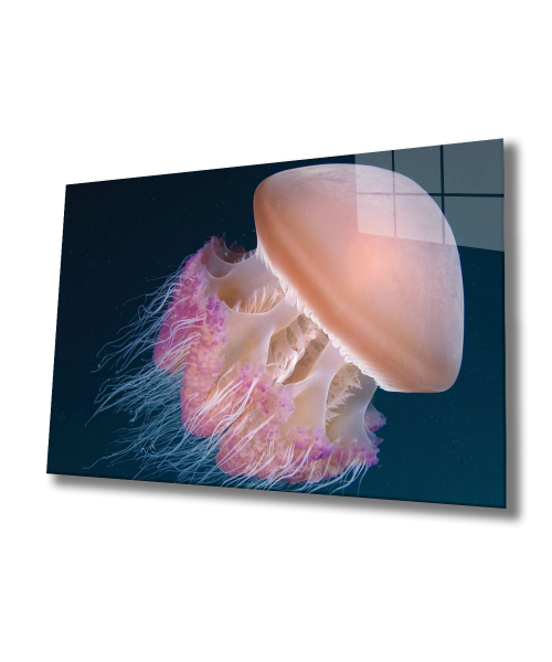 Denizanası Cam Tablo  4mm Dayanıklı Temperli Cam, Jellyfish Glass Wall Art