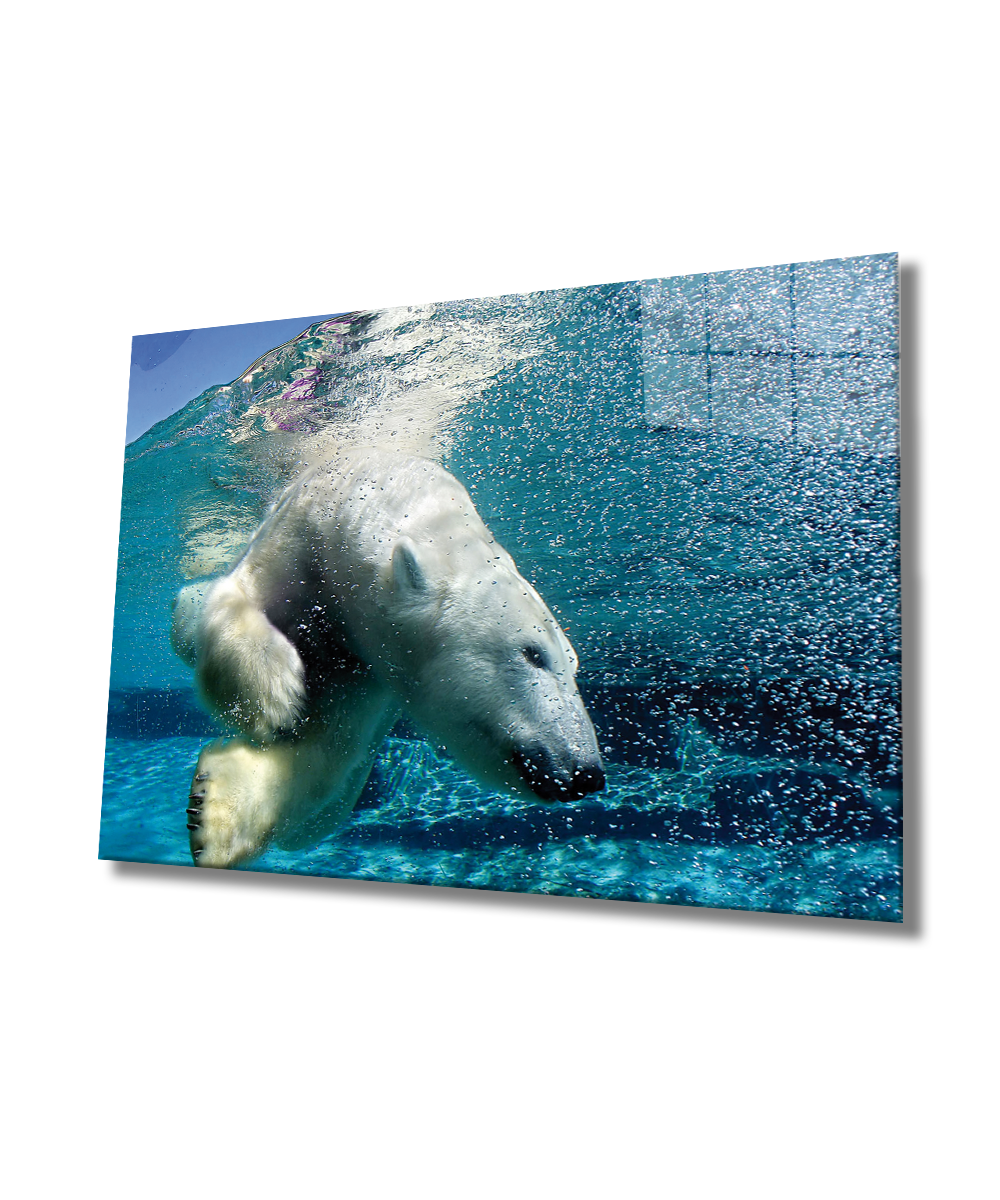 Beyaz Ayı Cam Tablo  4mm Dayanıklı Temperli Cam, White Bear In Sea Glass Wall Art