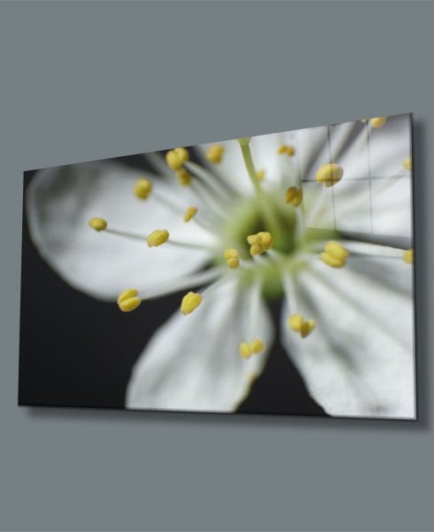 Çiçek Cam Tablo  4mm Dayanıklı Temperli Cam