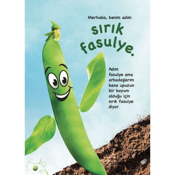 Sebzeler Konuşuyor Serisi 10 Kitap
