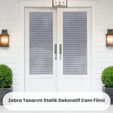 TechnoSmart 45cmx100cm Buzlu Desenli Cam Kaplama Filmi Statik Duşa Kabin Ofis Dekorasyon Folyo