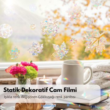 TechnoSmart 45cmx100cm Buzlu Desenli Cam Kaplama Filmi Statik Duşa Kabin Ofis Dekorasyon Folyo