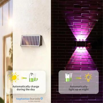TechnoSmart 1Adet Güneş Enerjili Çift Taraflı 6 Ledli Aplik RGB Işık Duvar Lambası Bahçe Aydınlatma