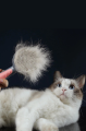Trendpoint Pakeway Kedi Köpek Tarağı Tüy Toplayıcı Gri