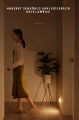 Trendpoint Usb Şarjlı Işık Renk Seçenekli Akıllı Hareket Sensörlü Spot Led Kablosuz Lamba 1 Adet