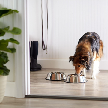 Trendpoint 16cm Metal Kedi ve Köpek Mama Su Kabı